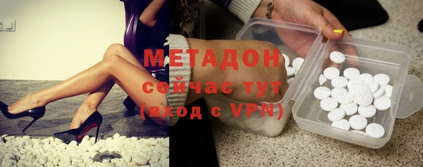 прущие грибы Гусиноозёрск