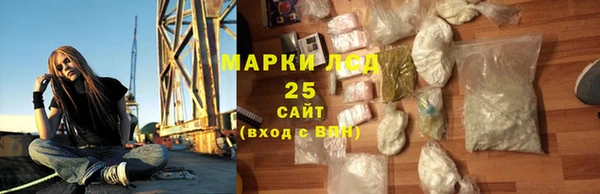 прущие грибы Гусиноозёрск