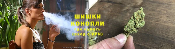 прущие грибы Гусиноозёрск