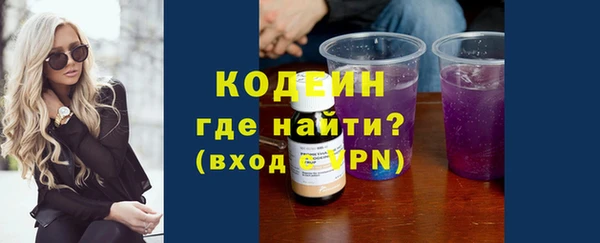 прущие грибы Гусиноозёрск