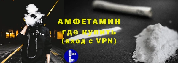 прущие грибы Гусиноозёрск