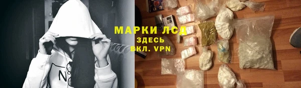 прущие грибы Гусиноозёрск