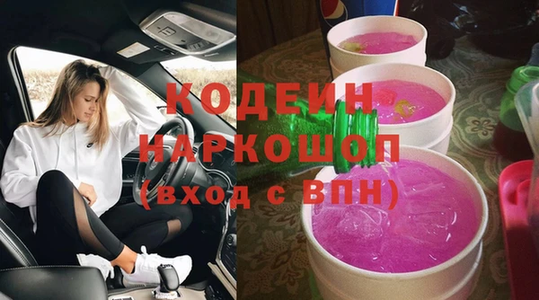 прущие грибы Гусиноозёрск