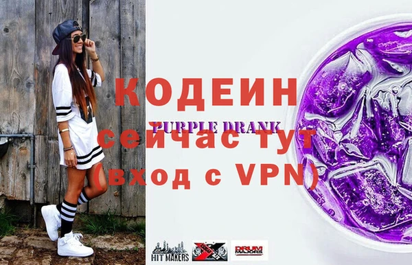 прущие грибы Гусиноозёрск