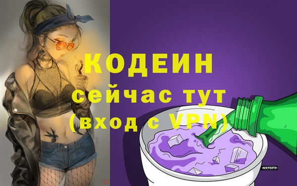 прущие грибы Гусиноозёрск