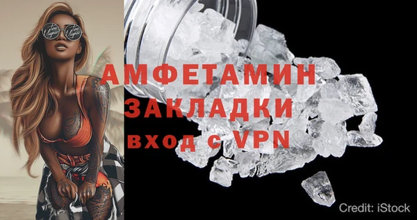 прущие грибы Гусиноозёрск