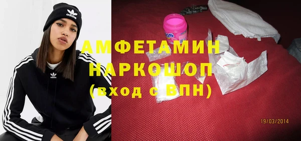 прущие грибы Гусиноозёрск
