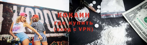 прущие грибы Гусиноозёрск