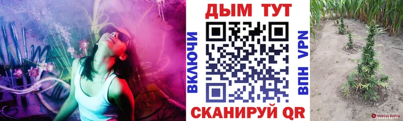 Купить где  Нурлат  Бошки марихуана тримм 